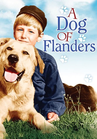 A Dog of Flanders