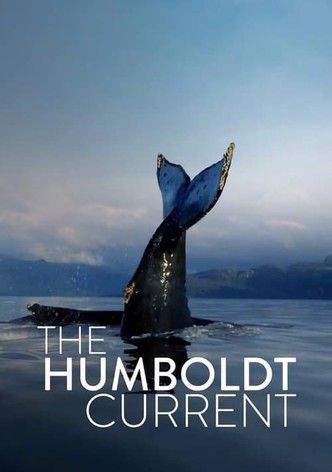 Humboldtin merivirta