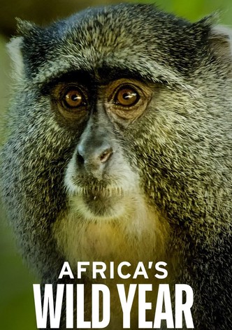 Africa's Wild Year S01