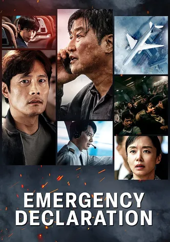 Emergency Declaration poster