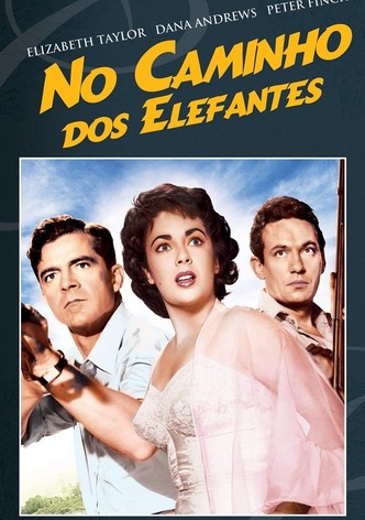 No Caminho dos Elefantes