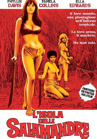 L'isola delle salamandre