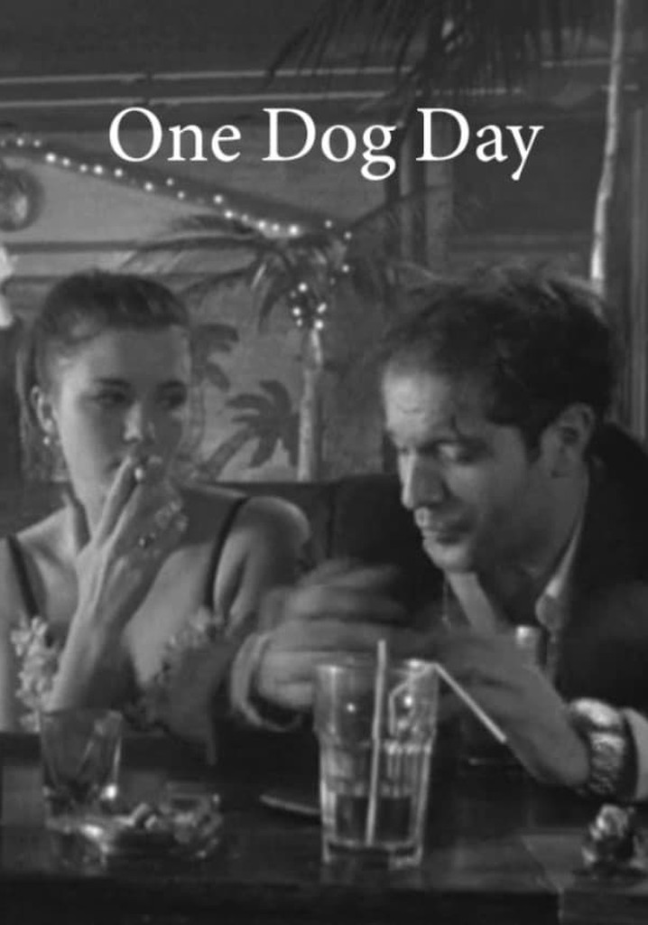 One Dog Day
