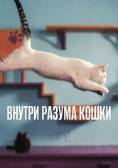 Внутри разума кошки