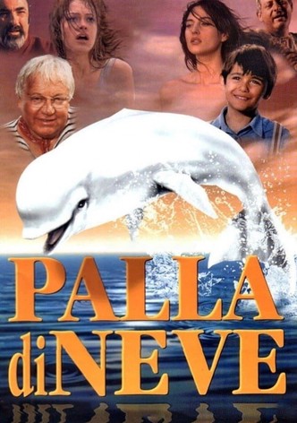 Palla di neve