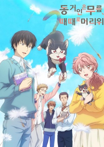 동거인은 무릎, 때때로 머리 위