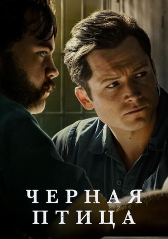 Черная птица