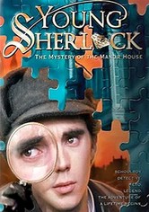 Young Sherlock: The Mystery of the Manor House