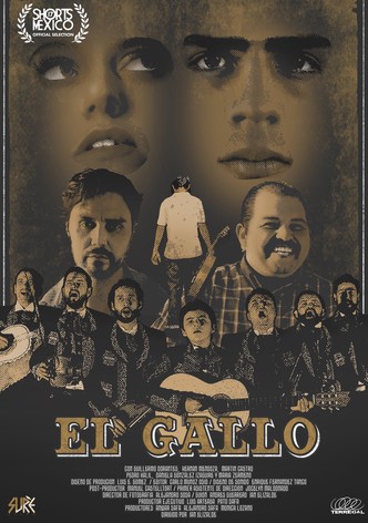 El Gallo