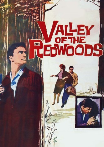 Valley of the Redwoods