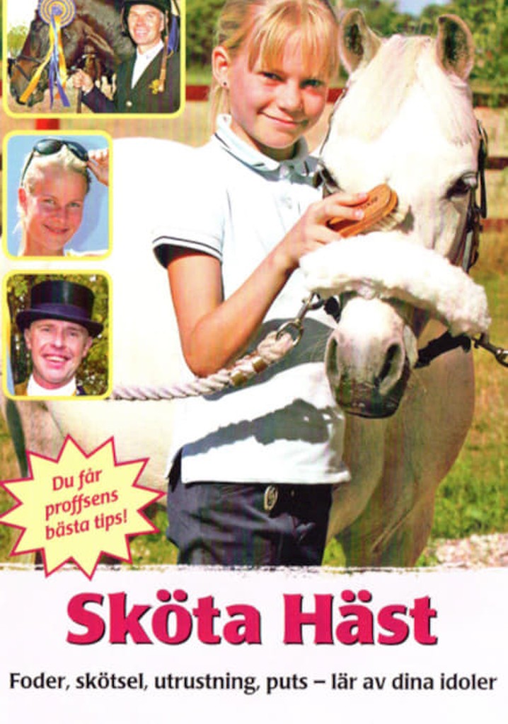 Sköta häst