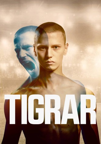 Tigrar