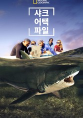 샤크 어택 파일 - 시즌 2