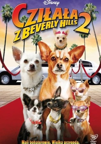 Cziłała z Beverly Hills 2