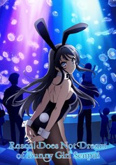 Rascal Does Not Dream of Bunny Girl Senpai