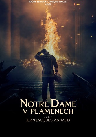 Notre-Dame v plamenech