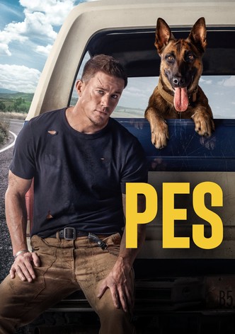 Pes