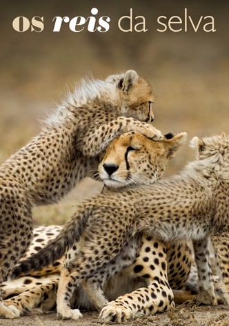 Os Reis da Selva