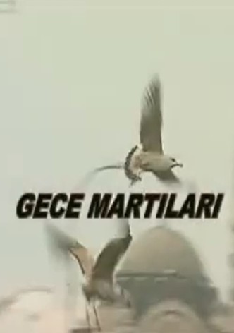 Gece Martıları