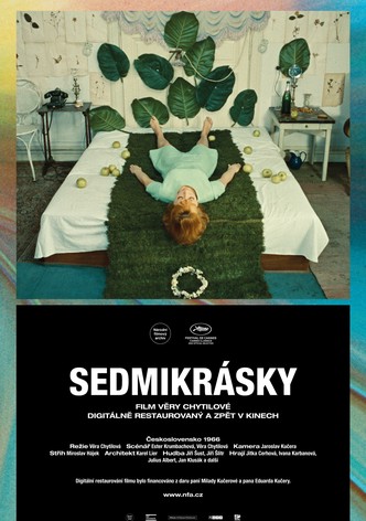 Sedmikrásky