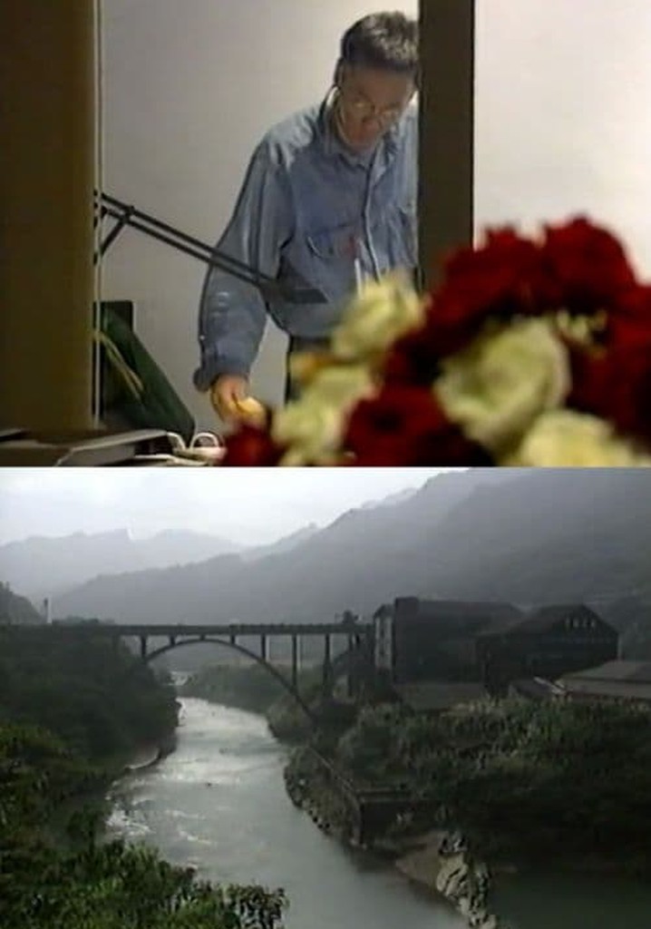 I Wish I Could Be Japanese