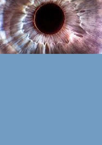 Bigger on the Inside