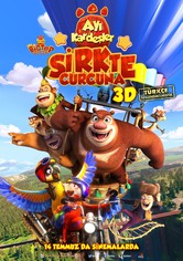 Ayı Kardeşler: Sirkte Curcuna