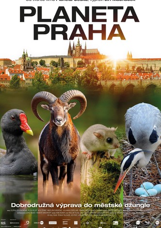 Planeta Praha