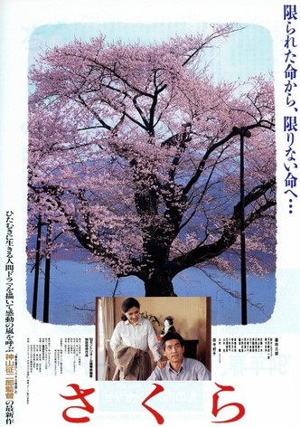 Sakura