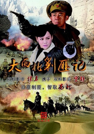 大西北剿匪记