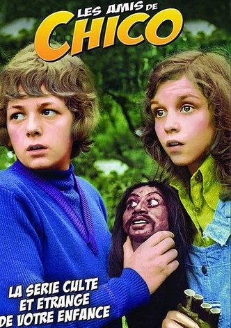 Les Amis de Chico
