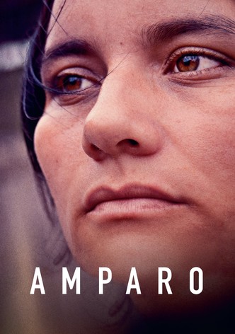 Amparo