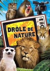 Drôle de nature
