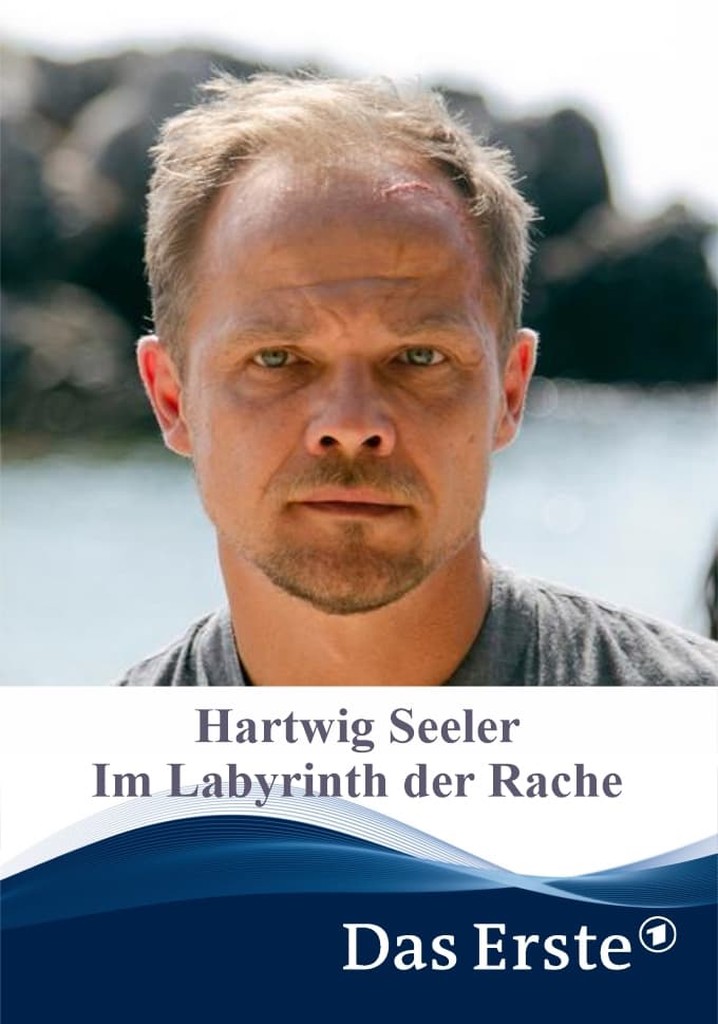 Hartwig Seeler - Im Labyrinth der Rache - Stream: Online