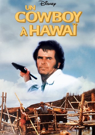 Un cowboy à Hawaï