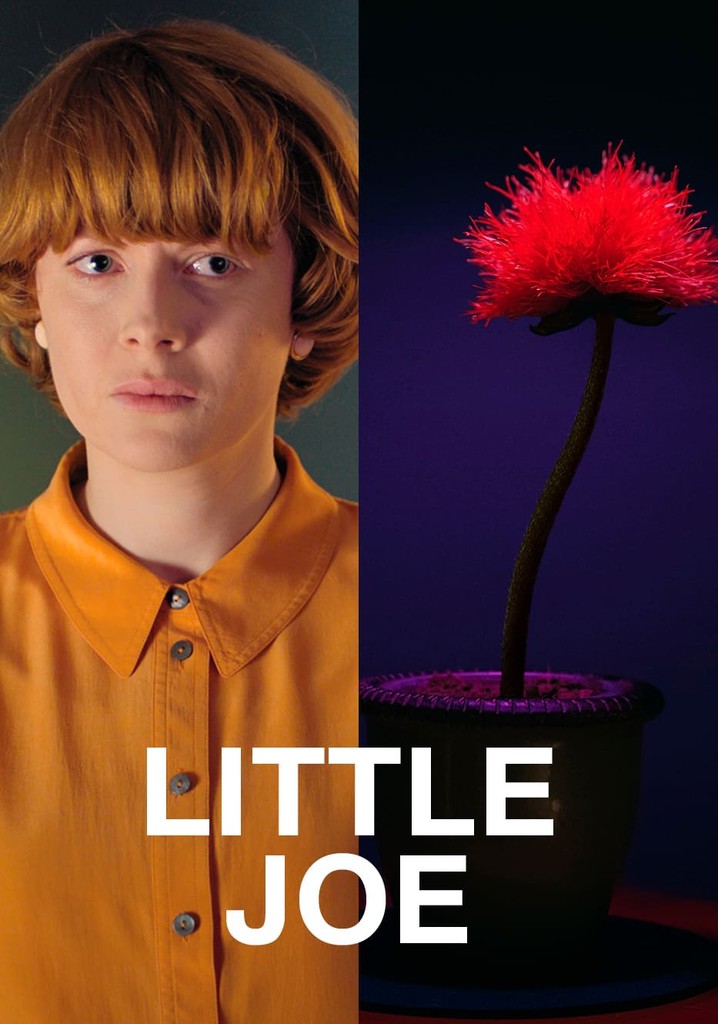 Little Joe - Glück ist ein Geschäft - Stream: Online
