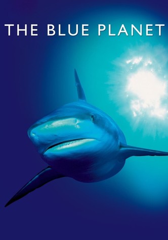 Modrá planeta - Historie oceánů