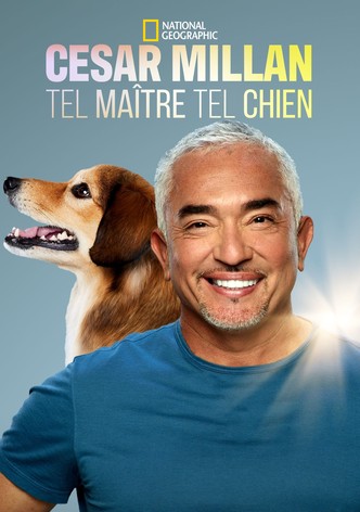 Cesar Millan: Tel Maître, Tel Chien