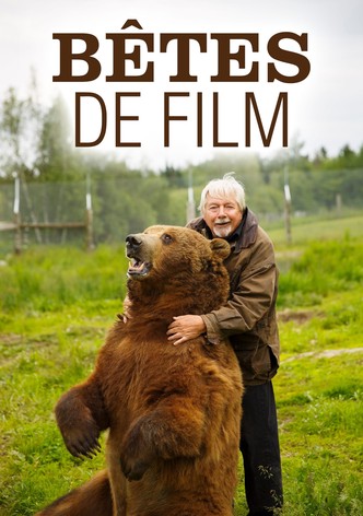 Bêtes de film