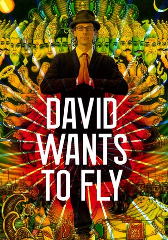 David Wants to Fly