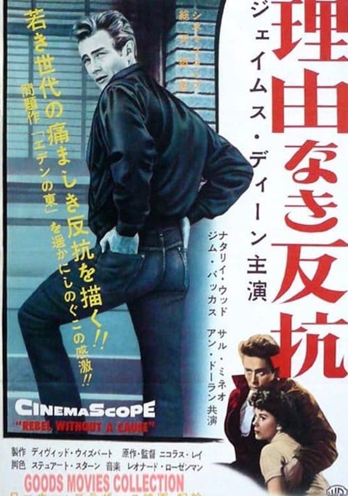 【VHS　ビデオ】映画『エデンの東』『理由なき反抗』 VHS ビデオ】映画『エデンの東』『理由なき反抗』 - メルカリ