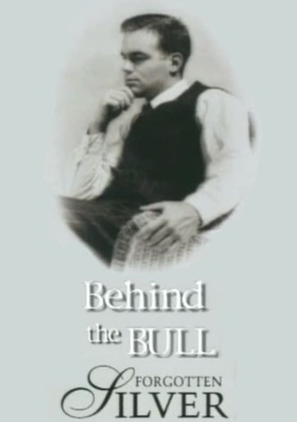 Behind the Bull