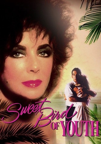Sweet Bird of Youth