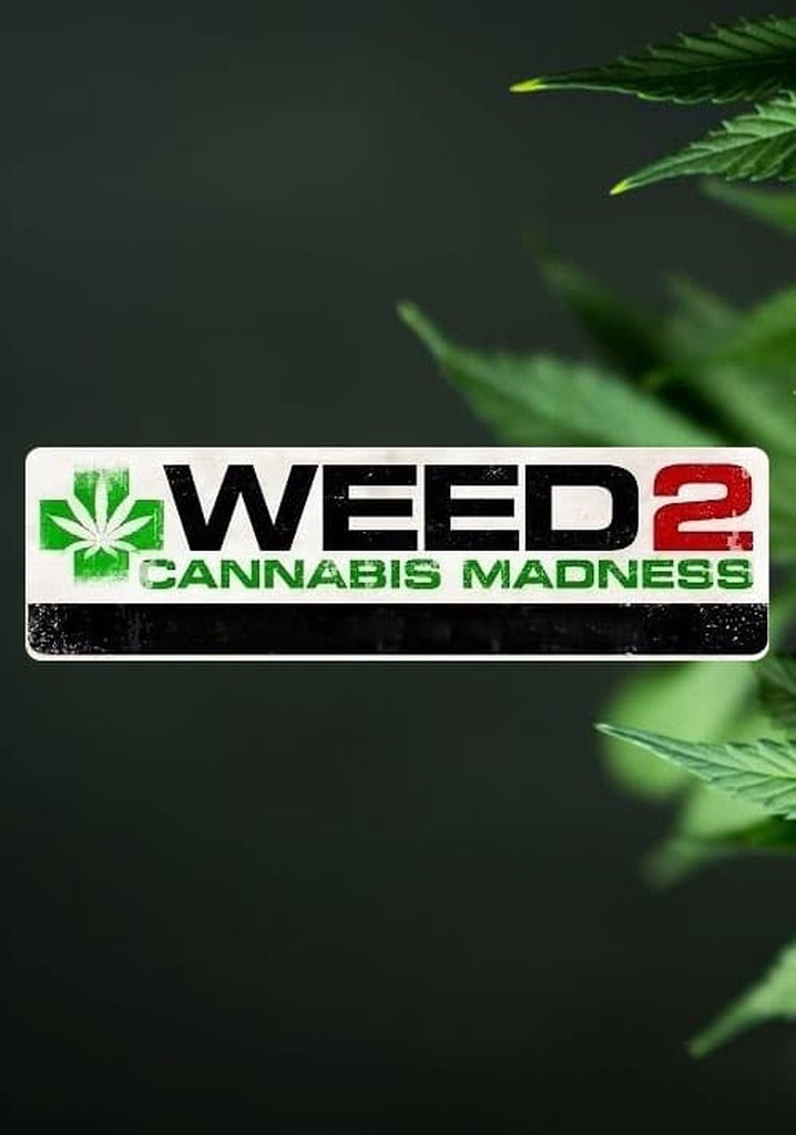 Weed 2: Cannabis Madness
