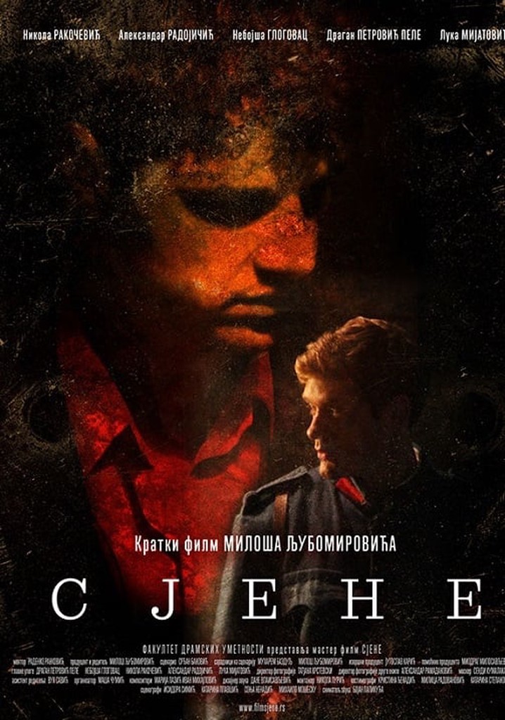 Shadows - The Last Days of Gavrilo Princip