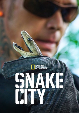 Snakes in the city