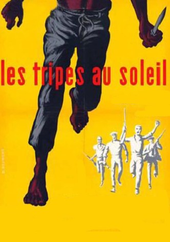 Les tripes au soleil