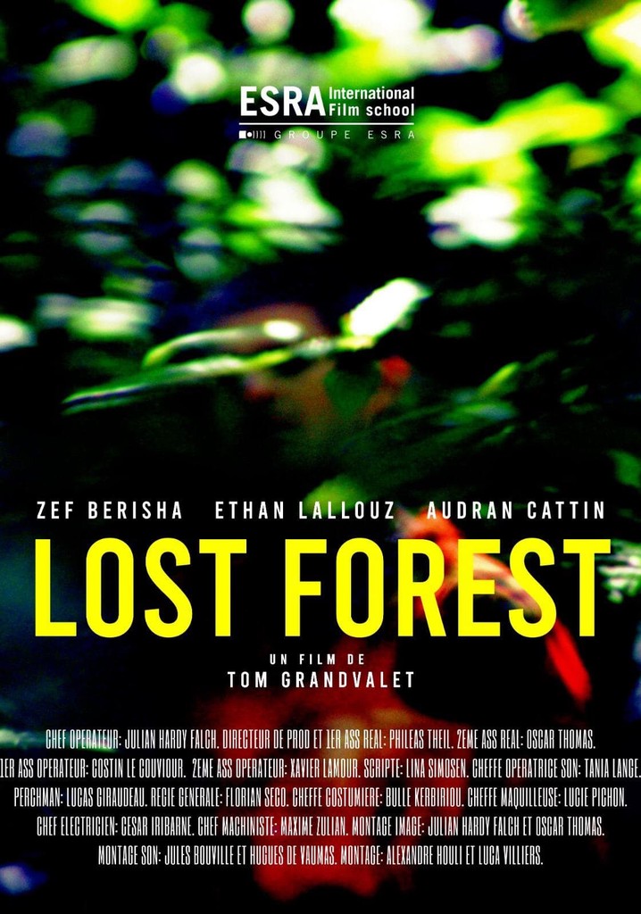 Lost Forest