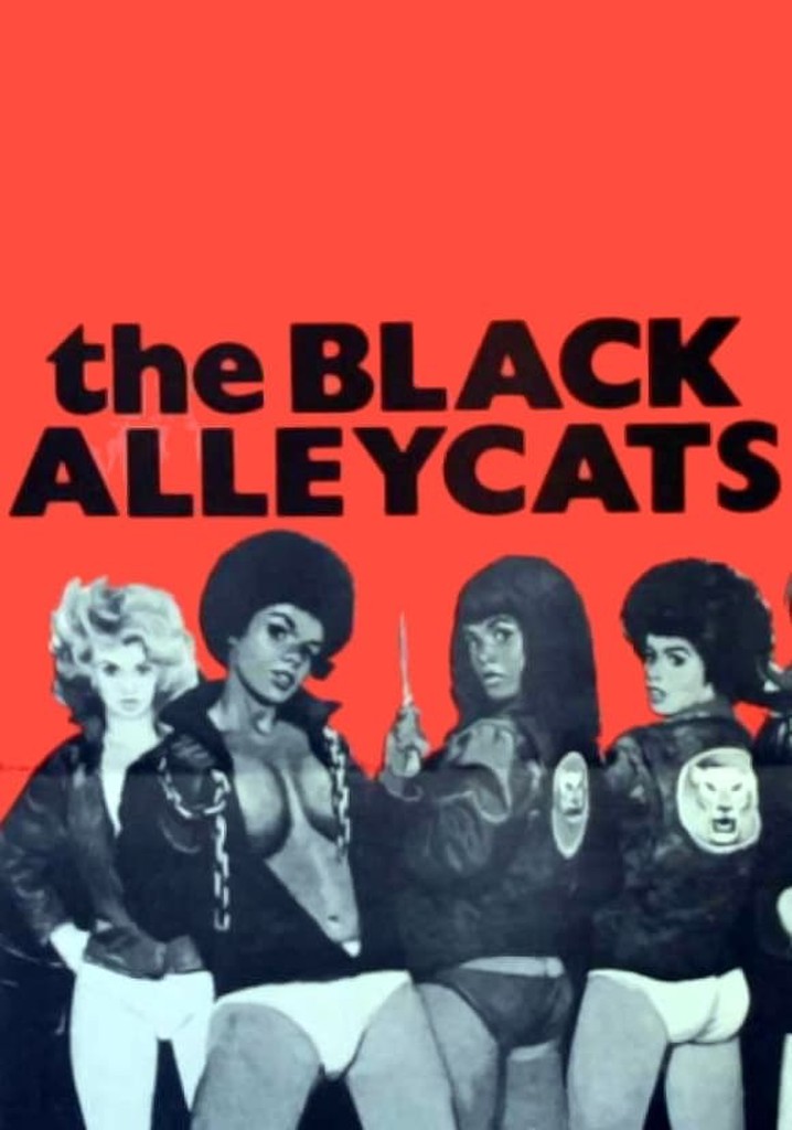 The Black Alley Cats - movie: watch stream online