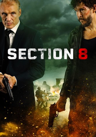 Sección 8